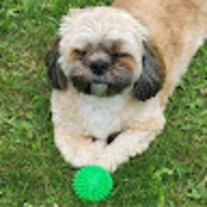 Meet your Posher, Jeff